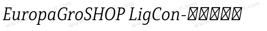 EuropaGroSHOP LigCon字体转换